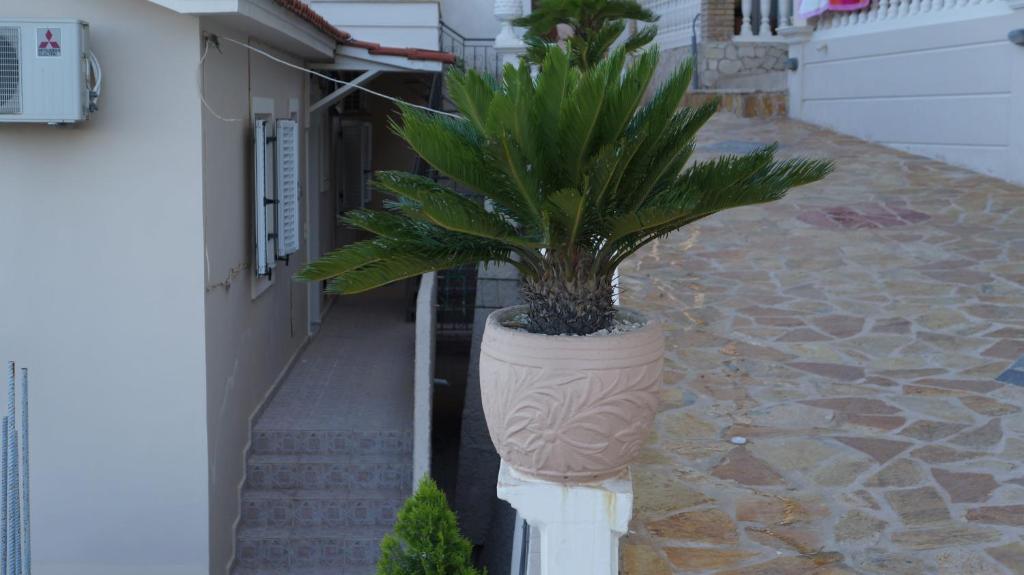 Corali Beach Tsilivi  Exterior photo